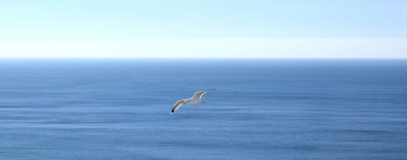 Il Giornale del Ricordo - 