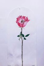 img - Greta Mandelli - Il ritratto della pittura