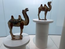 img - Travelogue, dialoghi sul viaggio