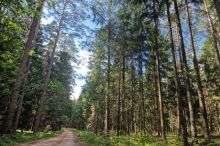 img - Dove Lituania, Lettonia e Bielorussia si incontrano